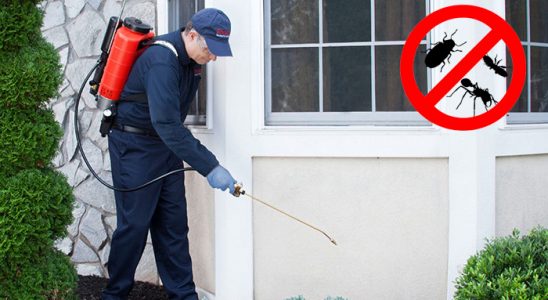 Uluborlu Böcek ve Haşere İlaçlama böcek ilaçlama ve haşere kontrolü — ilaclama-tr.com